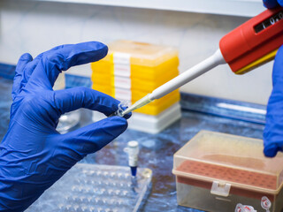 Close-up of a researcher using an automatic pipette to take DNA from a test tube