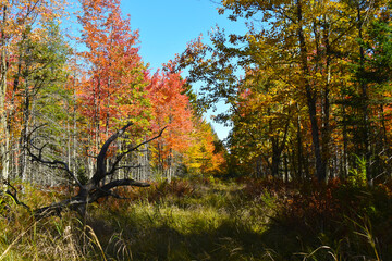 La Plaine 2 Octobre 2022