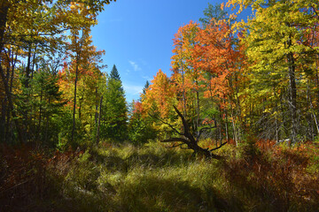 La Plaine 2 Octobre 2022
