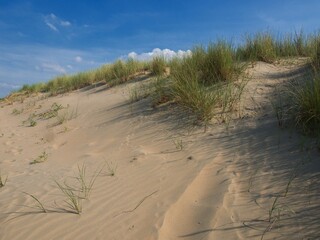 Fototapeta na wymiar A sand dune at the end of the beach overgrown with hard coastal grass