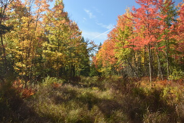 Fototapeta premium La Plaine 2 Octobre 2022
