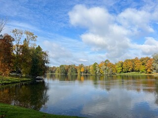 autumn trees reflection on the surface of the pond in the park, golden fall