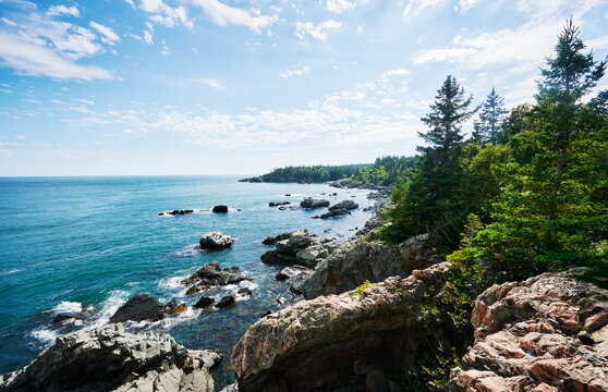 View of the Cutler Coast, Maine  - Powered by Adobe