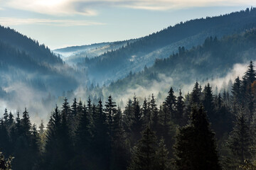 A view from mountains to the valley covered with foggy landscape. Foggy Landscape in mountains.