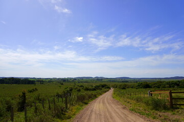 Fototapeta na wymiar Camino en campo Uruguayo