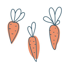 Set Carrot in doodle style. Ripe root crop. Autumn vegetables. Vector graphics isolated on white background.