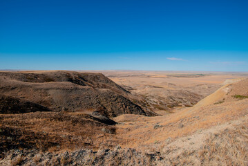 landscape in the desert