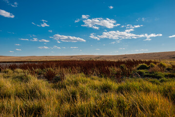 Obraz premium Prairie grass and sky
