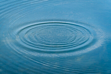 Fototapeta premium Circles on a water surface after the splash.