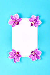 Obraz na płótnie Canvas Beautiful purple phalaenopsis flowers on the table. Blooming branch of pink Phalaenopsis orchid isolated on blue background.