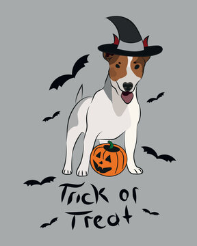 Dog Halloween greeting card with a staying Jack Russell. Dog in costume, pumpkin in paw. Postcard for dog lovers. Pet character postcard art. Funny dog mascot
