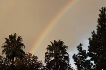 rainbow in the sky