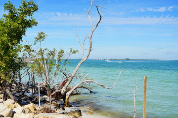 Beautiful Sanibel island beach in Fort Myers, Florida, USA	