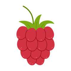 Ripe raspberry. Flat vector illustration isolated on white background.