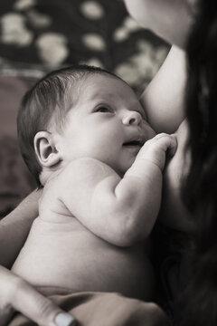 Mother breastfeeds a newborn baby, monochrome