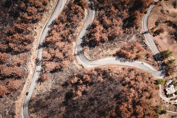 Summer landscape in Marmaris and Icmeler. Burnt coniferous trees. Forest after big fires in Turkey.