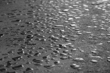 Drops of water lies on the asphalt road