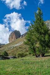Nel vallone di Bellino, tra Rocca Senghi ed ilMonte Maniglia (alta Valle Varaita, provincia di...