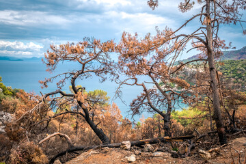 Beautiful summer landscape near the city of Turunc, Turkey. Mediterranean sea and mountains