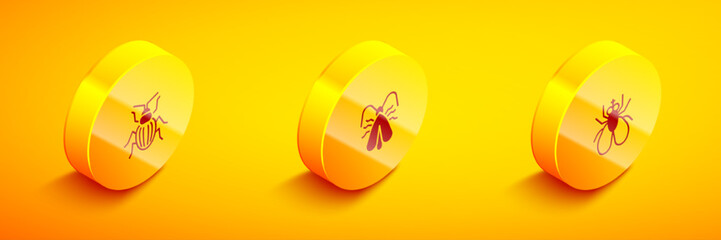 Set Isometric Chafer beetle, Clothes moth and Insect fly icon. Vector - obrazy, fototapety, plakaty