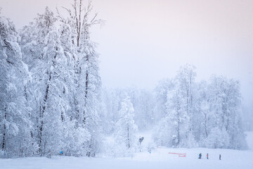 Winter Mountain landscape at the Rosa Khutor ski resort in Sochi, Russia. Trees in hoarfrost in a frosty morning.