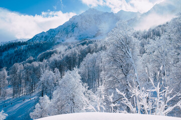 Winter Mountain landscape at the Rosa Khutor ski resort in Sochi, Russia. Trees in hoarfrost against a beautiful morning sky in a frosty morning. Snow cannons sprinkle snow on the slopes