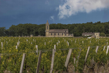 Church in the vineyards of the haute medoc