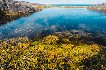 Natural pool in the rock. Blue sky with clouds reflected in clear water. Rocky coastline of Barents Sea near Teriberka. Scenery of Russian North. Kola Peninsula, Murmansk Oblast, Russia