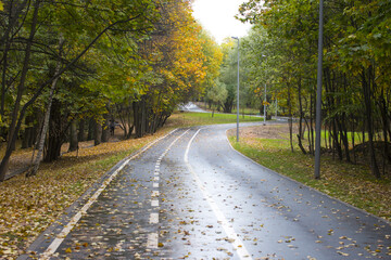 Autumn roads in the park strewn with fallen leaves. Golden Autumn