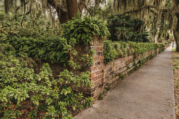 Brick wall with ferns in beaufort sc