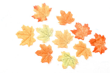 Autumn composition. Dried leaves on white background. Autumn, fall, thanksgiving day concept. Flat lay, top view, copy space