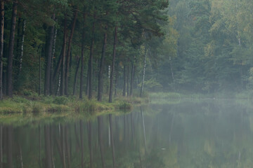 mgła nad jeziorem jesień las