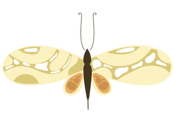 butterfly animal icon