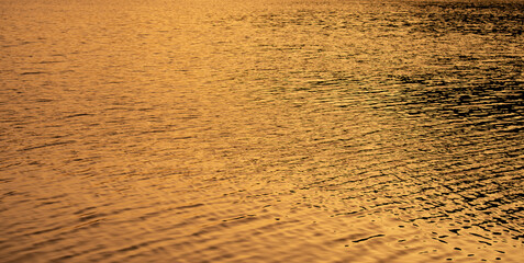 Golden Waters