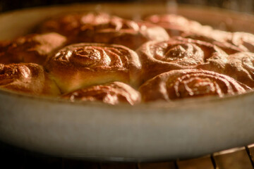 Cinnamon buns in the oven are cooked on a dish. Process of making cinnamon rolls in home kitchen