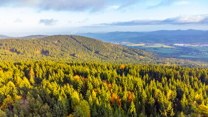 Fototapeta na wymiar Aerial view of autumnal mountain forest