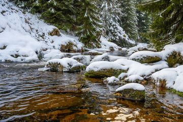 Jizerka river in winter time