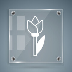 White Flower tulip icon isolated on grey background. Square glass panels. Vector
