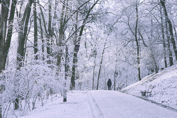 Winter seasonal outdoor background: white alley in frozen park, snow covered trees, bushes, benches, lanterns after snowfall and woman figure moving into a distance - snowy landscape, mood of december