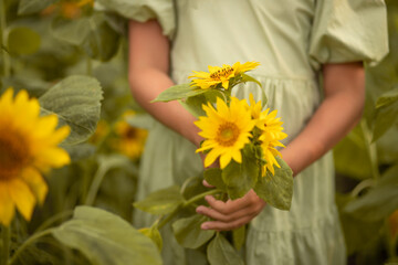 Obraz na płótnie Canvas child girl holding a sunflowers