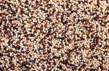 Red, white and brown quinoa seeds background, macro closeup
