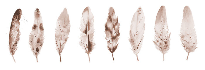 Beige feather set. Design for a invitation, greeting, card, postcard, textile, wrapper pattern. Painted details for boho style design. Feather collection. Watercolor illustration isolated on white © Anna