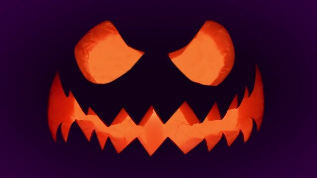 Halloween pumpkin spooky face with candle light on dark purple black background. Orange scary Jack O Lantern 4K.