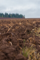 Plowed land with forest