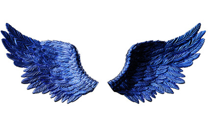 Metallic black wings under white lighting background. Concept 3D CG of free activity, decision without regret and strategic action. PNG file format.	