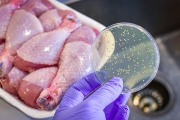 Meat/Chicken contamination with bacteria - obrazy, fototapety, plakaty