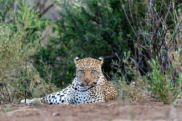 Mashatu Game Reserve&ldquo;Botsuwana&rdquo;
