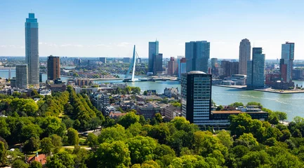 Poster View from drone of Rotterdam city overlooking modern districts with high skyscrapers and Erasmus cable-stayed bridge across Nieuwe Maas river on sunny summer day, Netherlands.. © JackF