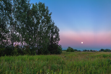Sunset in summer field