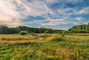 Sunset in summer field